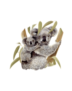 Koala & Baby Car Mats
