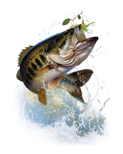 Fish and Hook Largemouth Bass Car Mats