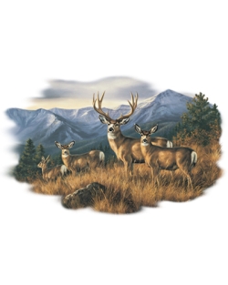 Close to the Ridge Mule Deer Car Mats