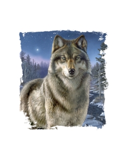 Night Watch Wolf Car Mats