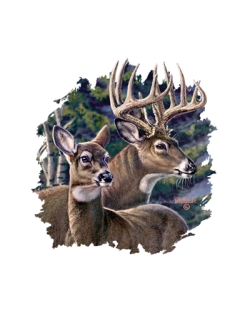 Deer Pair Car Mats