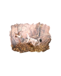 First Flush English Setter Car Mats