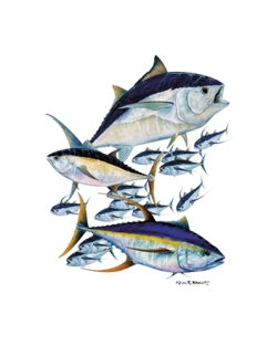 Tuna Montage Car Mats