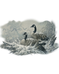 April Snow Geese Car Mats