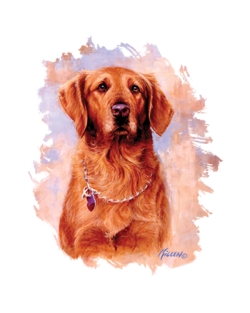 Duffy Golden Retriever Car Mats