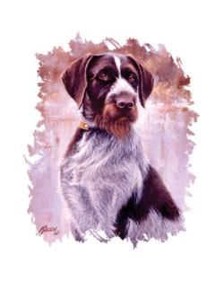 Drahthaar German Wirehair Car Mats