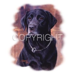 Aggie - Black Labrador Car Mats