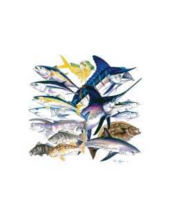 Saltwater Collage Car Mats