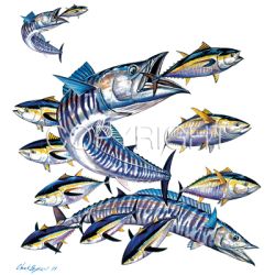 Wahoo Car Mats