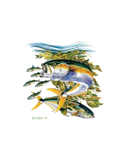 Yellowtail Car Mats