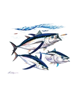 Albacore Tuna Car Mats