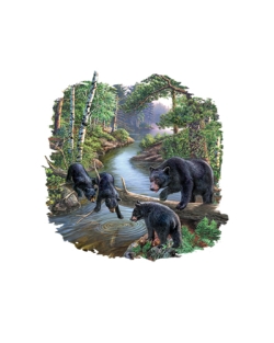 Bear Pause Car Mats