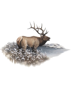 Winter Elk Car Mats