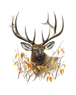 Fall Elk Car Mats