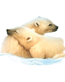 Polar Pals Polar Bears Car Mats