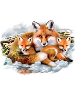 Fox Family Car Mats