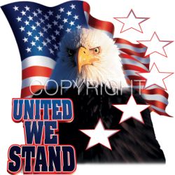 United Eagle Car Mats