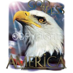 God Bless Eagle Car Mats