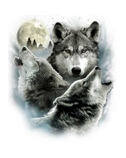 Three Wolves Door Mat
