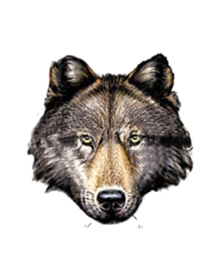 Wolf Head Car Mats