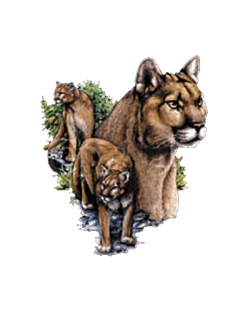 Cougar Collage Car Mats