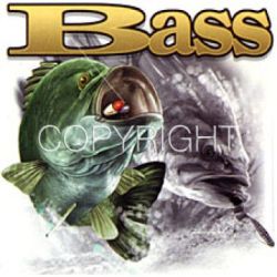 Bass Car Mats