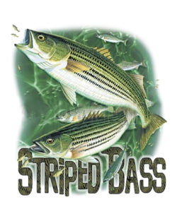 Striped Bass Car Mats