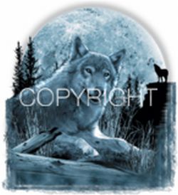 Wolf Moon Sitting Car Mats