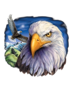 Soaring Eagle Car Mats