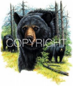 Black Bear Collage Car Mats