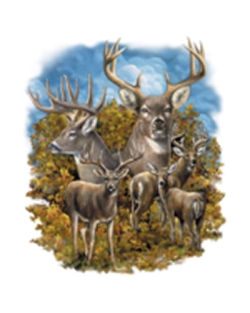 Whitetail Family Car Mats