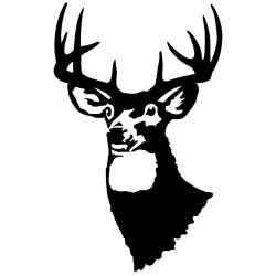 Whitetail Stag Wall Decal