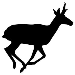 Pronghorn on the Move Wall Decal