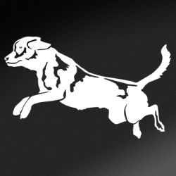 Jumping Lab Decal
