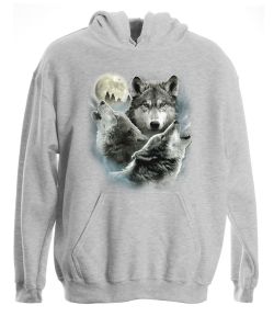 Three Wolves Pullover Hooded Sweatshirt