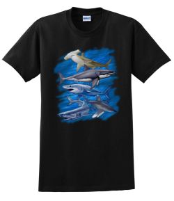 Assorted Sharks T-S...