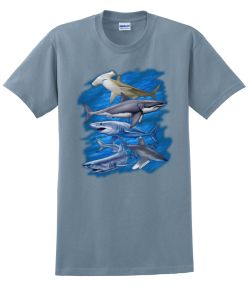 Assorted Sharks T-Shirt