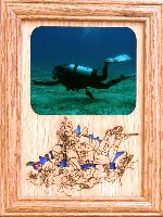 This assortment of Oak Picture Frames is a wonderful way to remember those times spent enjoying outdoor sports and activities. Frames are available in 5x7, 8x10 and 11x14 inch sizes. What a Great Gift Idea!!