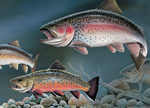 Trout Greeting Cards