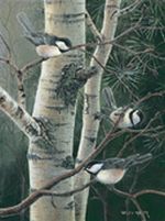 Chickadee Greeting Cards