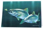 Lake Trout Greeting Cards