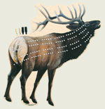 Elk Cribbage Board