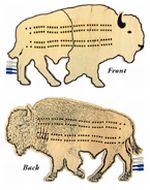 Bison Cribbage Board