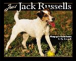 JUST JACK RUSSELLS BOOK