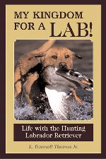 My Kingdom For A Lab!