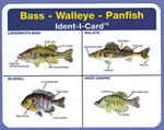 Bass - Walleye - Panfish Ident-I-Card - Waterproof Freshwater Fish Identification Card