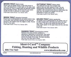 Stream Trout Ident-I-Card