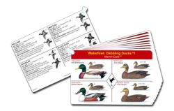 Waterfowl Ident-I-Cards Set - Waterproof Freshwater Ducks and Geese Identification Cards