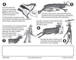 PAK-IT Guide to Field Dressing a Deer