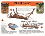 PAK-IT Guide to Field Dressing a Deer